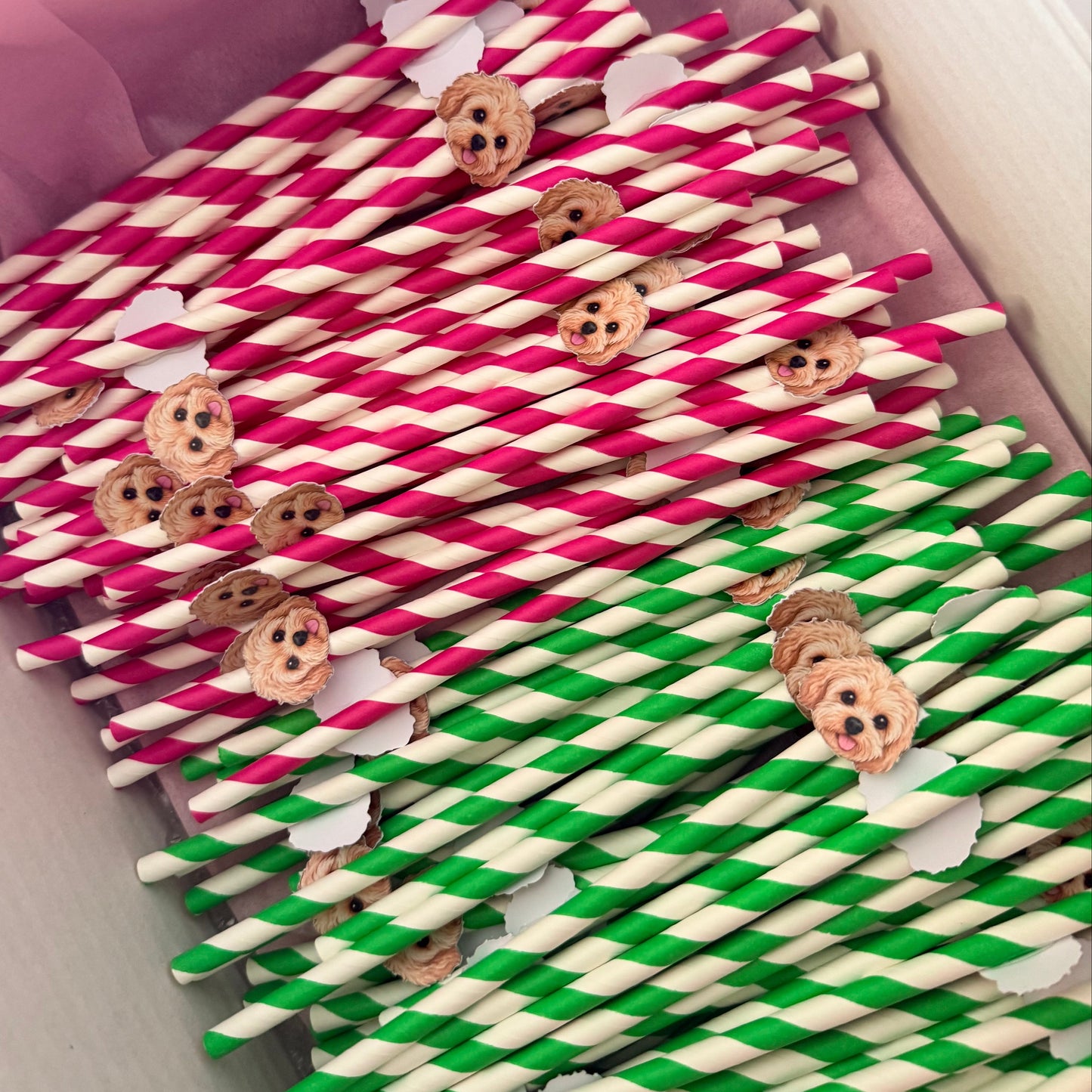 Personalised Paper Party Straws